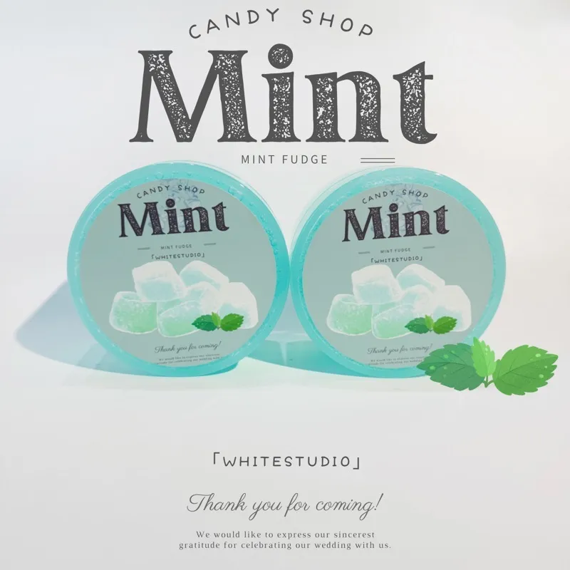 Refreshing Mint Slime Squeezable Toy