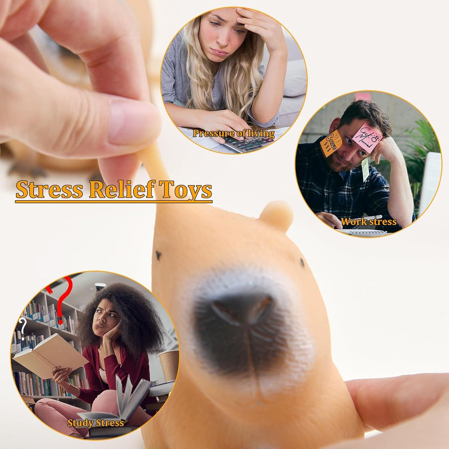 Capybara Anti-Stress